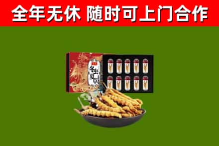 岑巩回收冬虫夏草价格