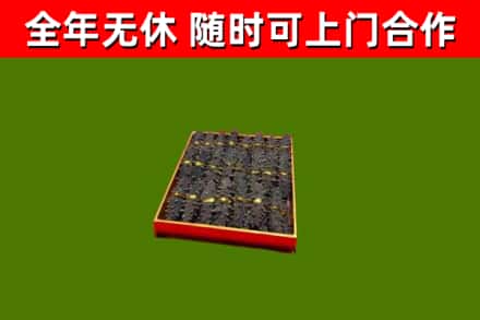 岑巩回收海参